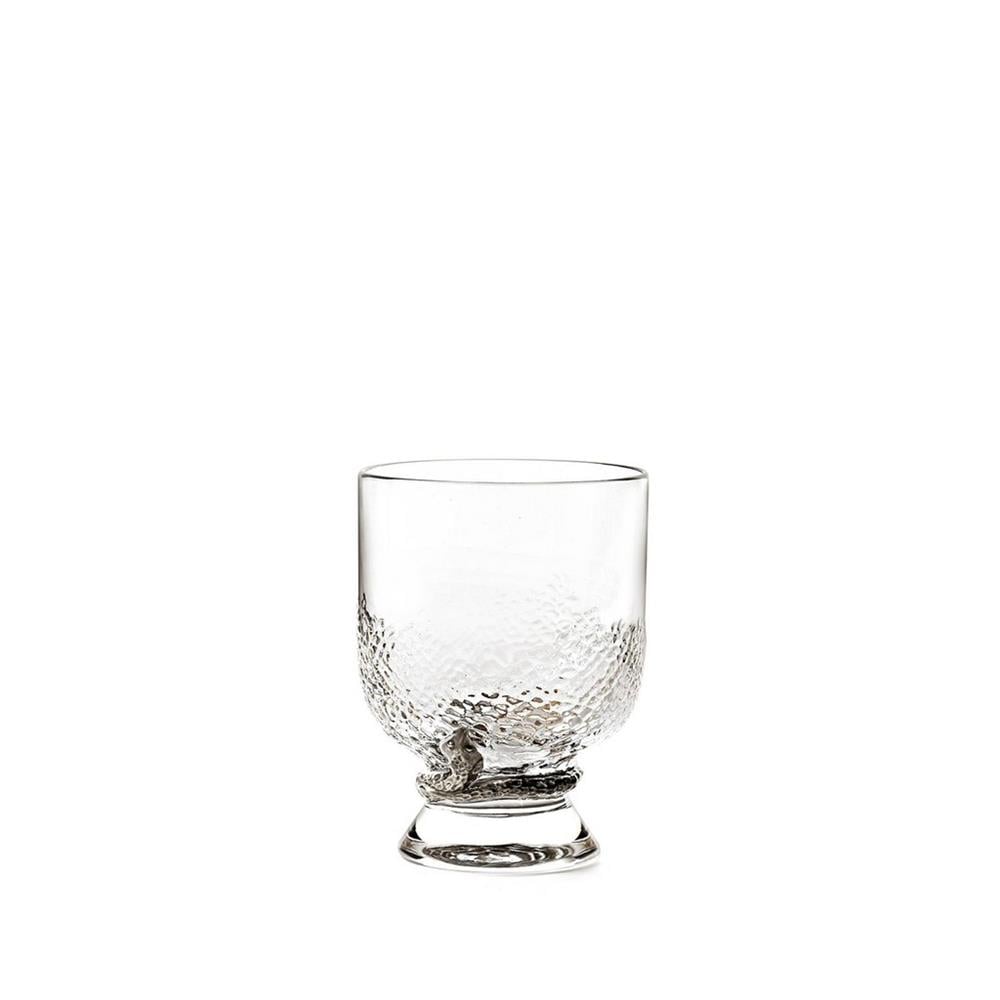 RC-RCHCPP0001S2­T ROBERTO CAVALLI PHYTON PLATIN SU BARDAGI