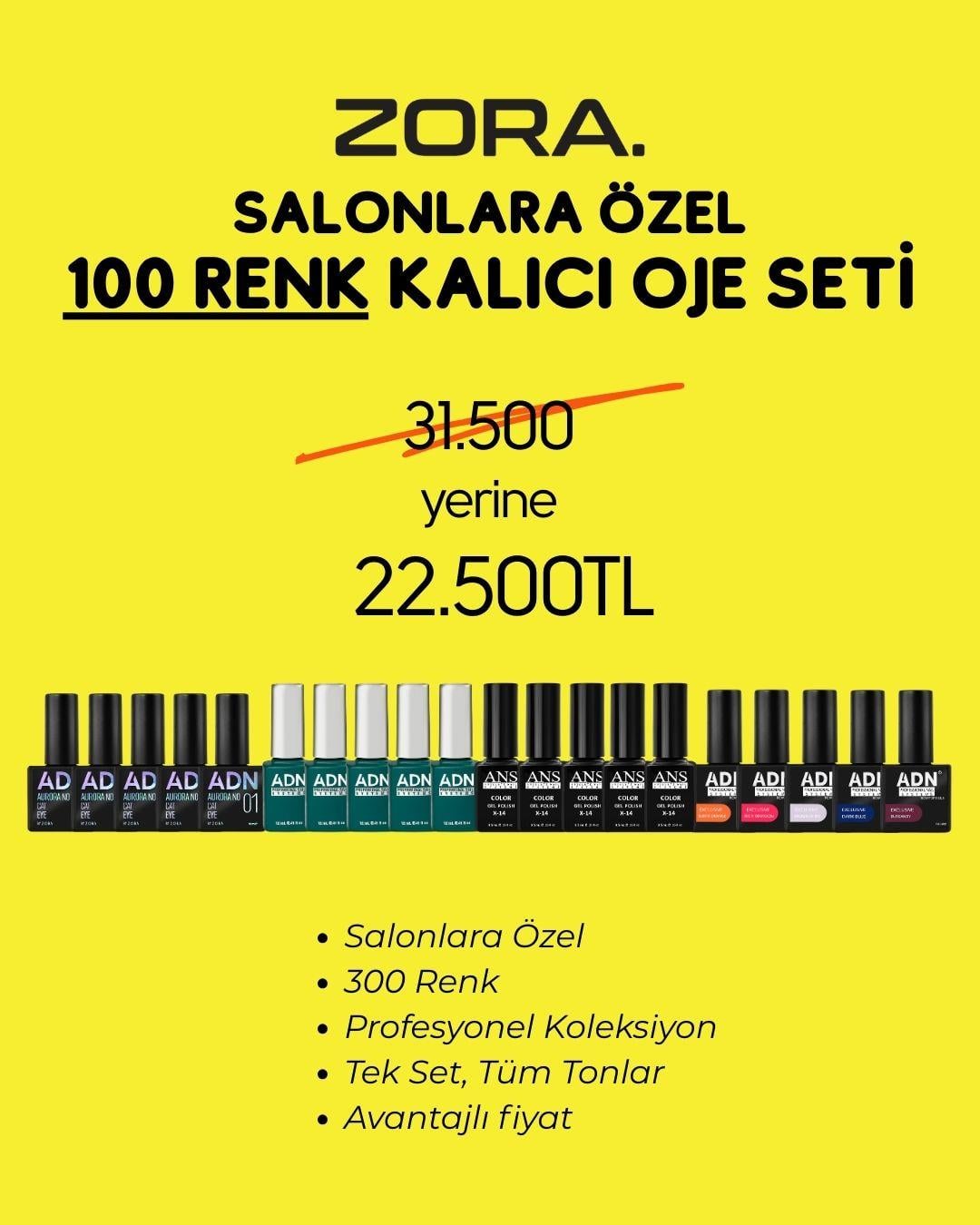 100 Renk Kalıcı Oje Seti