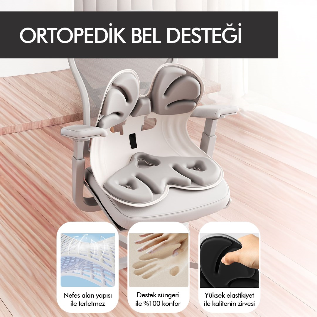 Ergonomik Ortopedik Bel Destekli Oturma Minderi Postür Düzeltici İş Ev Oto Sırt Koltuk Yastığı