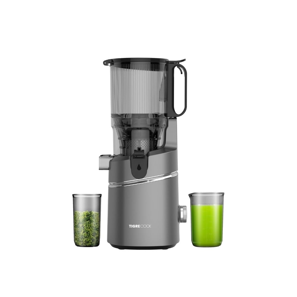 Slow Juicer Yavaş Sıkım Katı Meyve Sıkacağı Sorbe ve dondurma