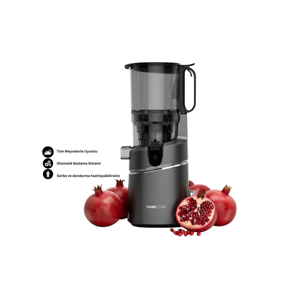 Slow Juicer Yavaş Sıkım Katı Meyve Sıkacağı Sorbe ve dondurma