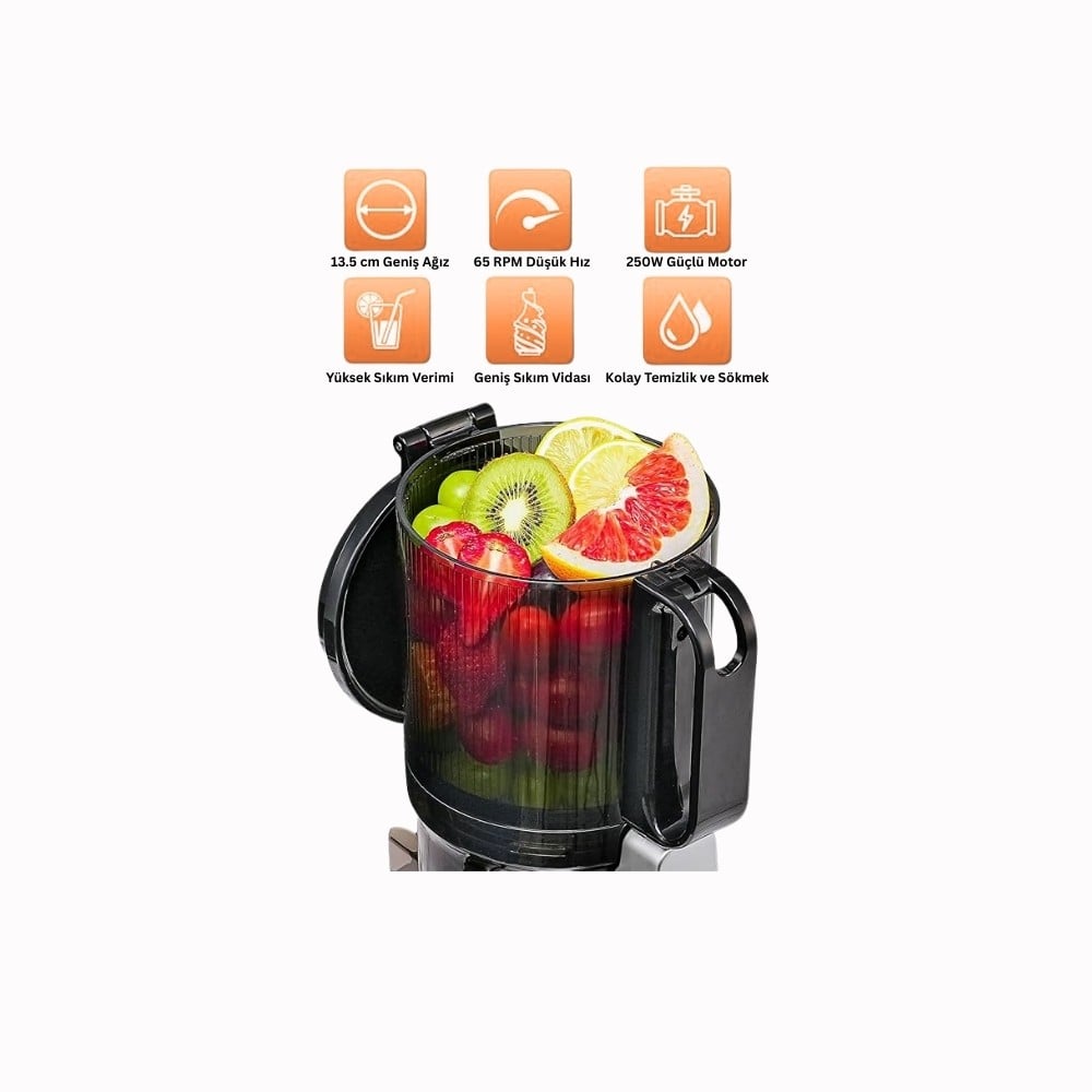 Slow Juicer Yavaş Sıkım Katı Meyve Sıkacağı Sorbe ve dondurma