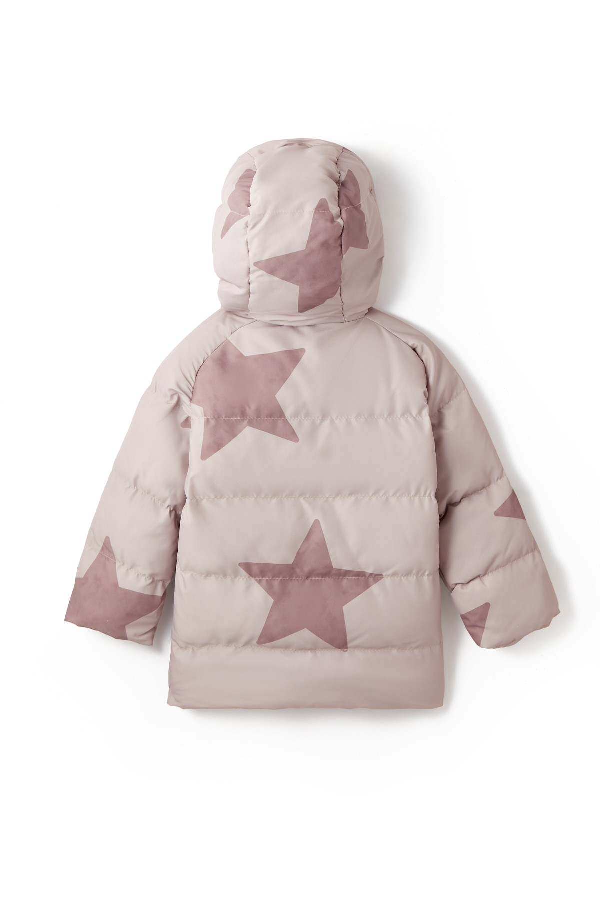 Brown Stars Mont