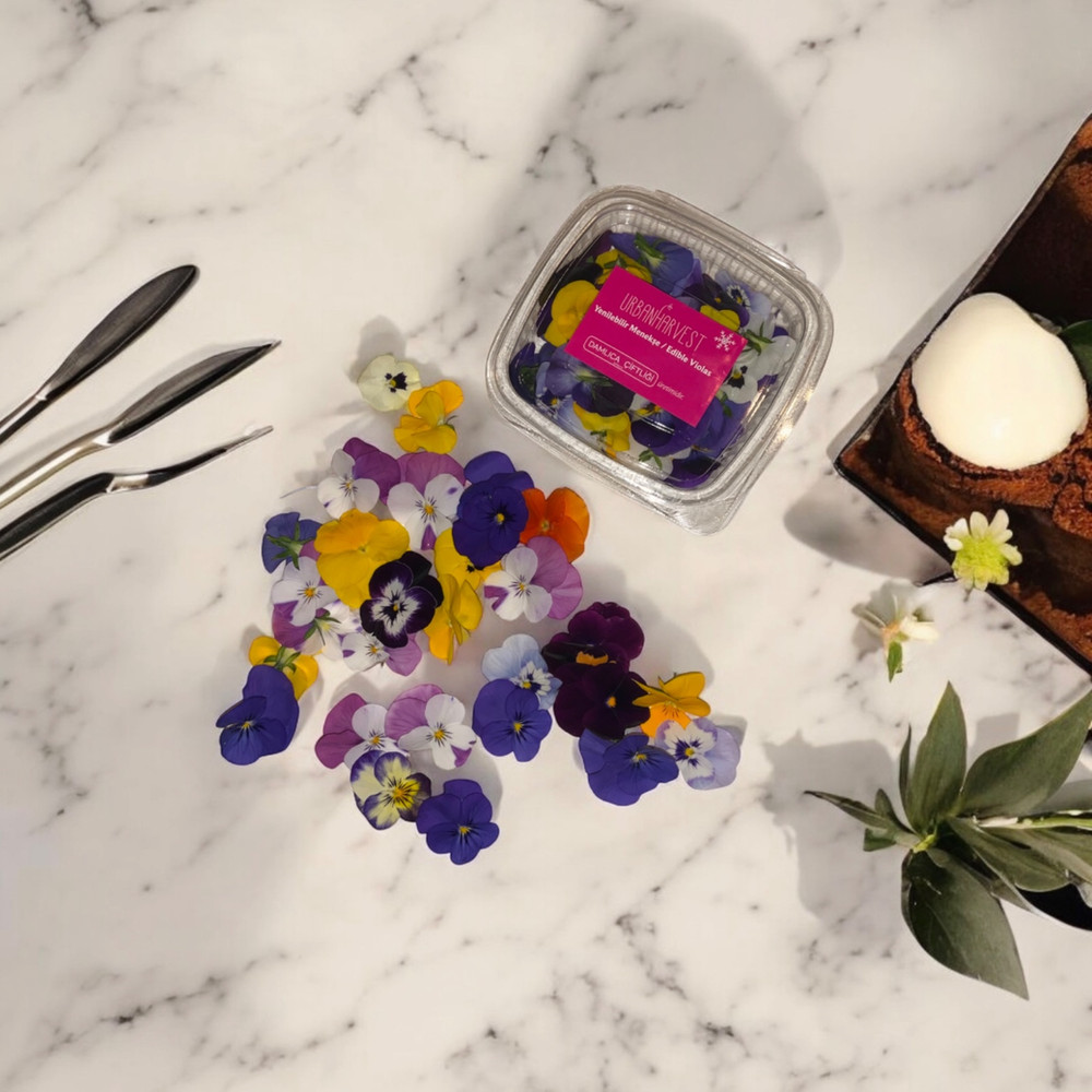 edible-violas-b-cd43.jpg