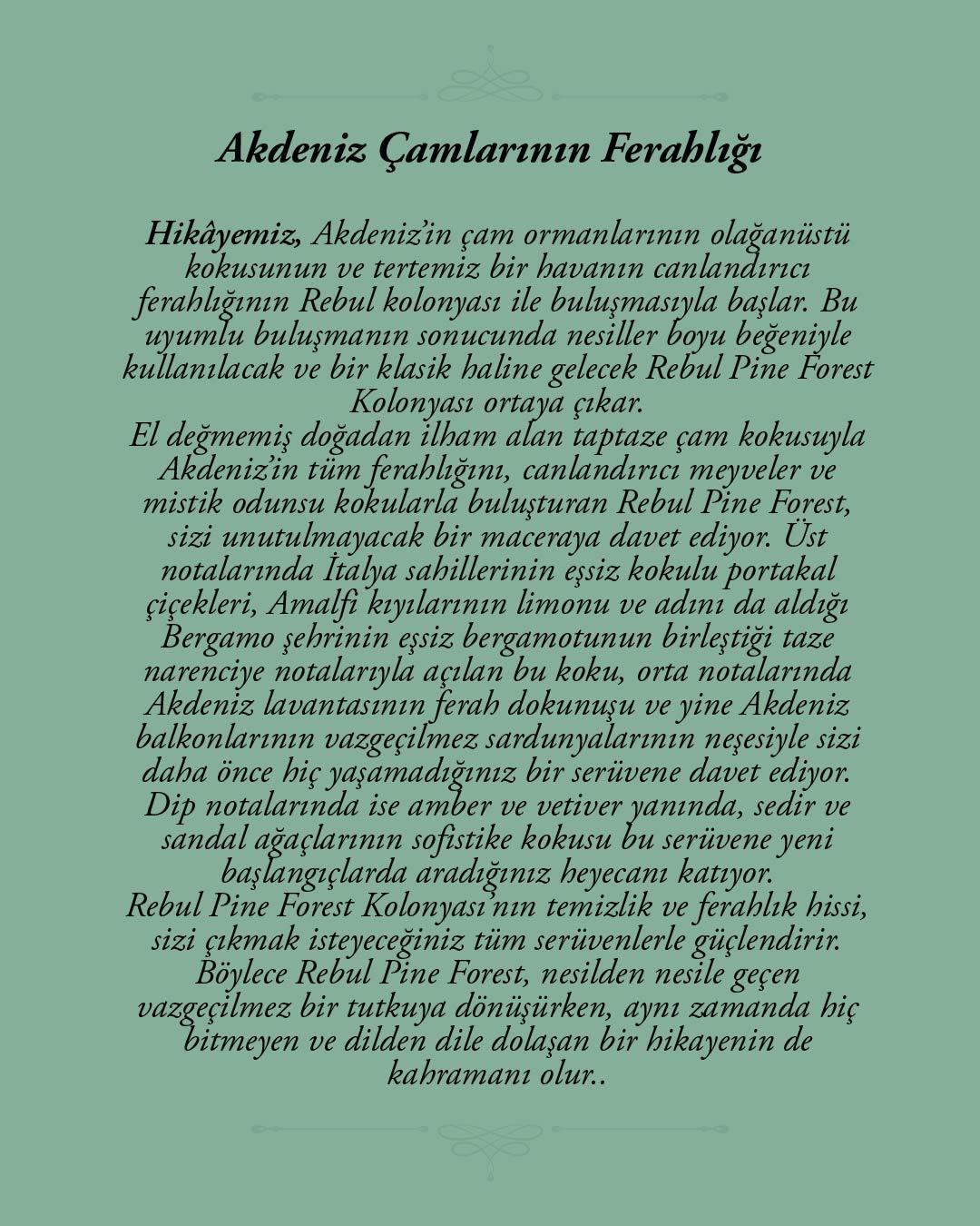 Rebul Pine Forest EDC Kolonya 100 ml Cam Şişe