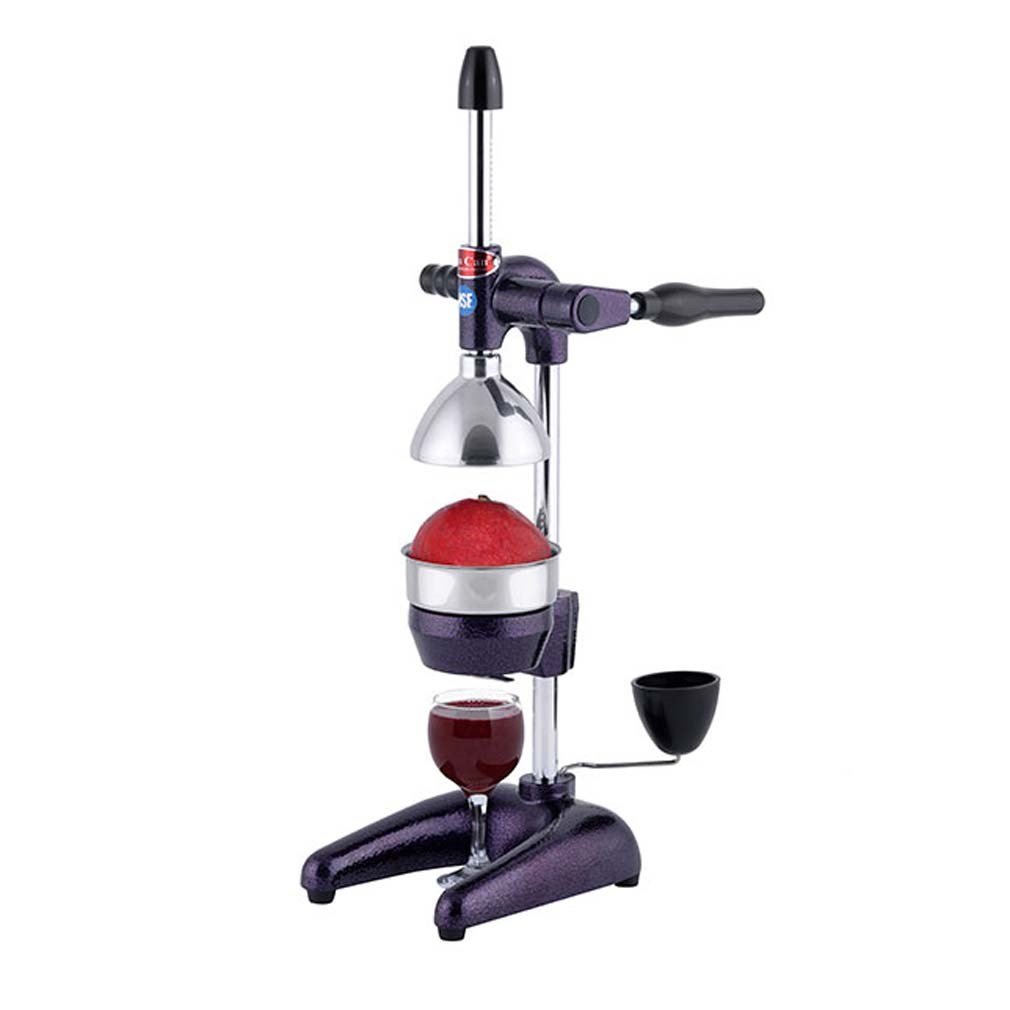 Profesyonel Nar Tipi Manuel Meyve Presi