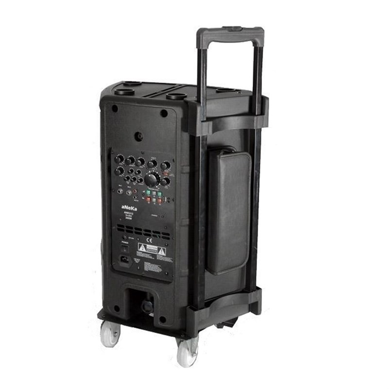 Aneka Ank 212 EE 12 İnç 200 Watt Taşınabilir Ses Sistemi Çift EL Mikrofonlu