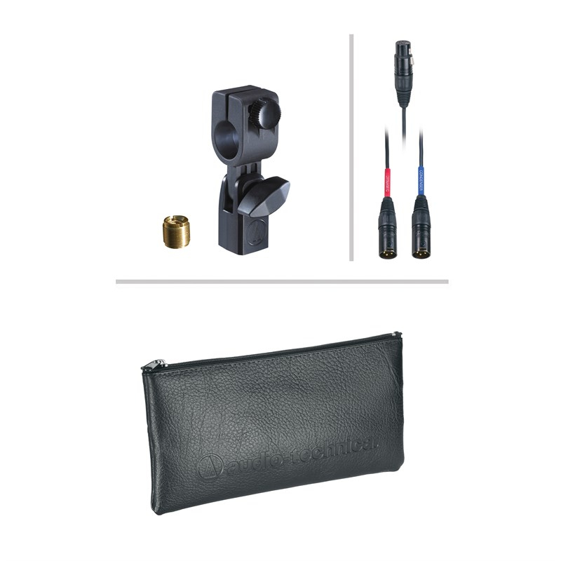 Audio Technica AE2500 Dual-element (dynamic/condenser) cardioid instrument microphone