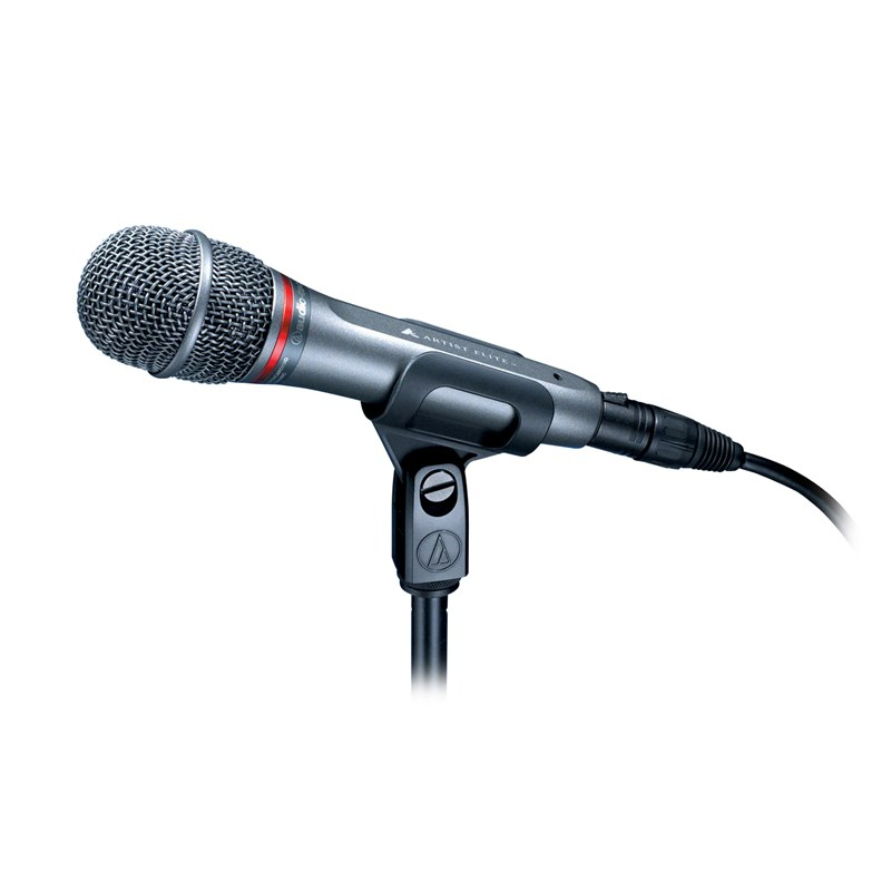Audio Technica AE6100 Dinamik Vokal Mikrofonu