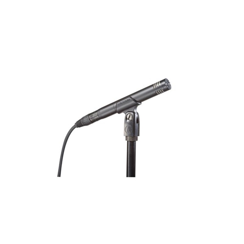 Audio Technica AT2031 Kardioid Konderser Enstruman Mikrofonu