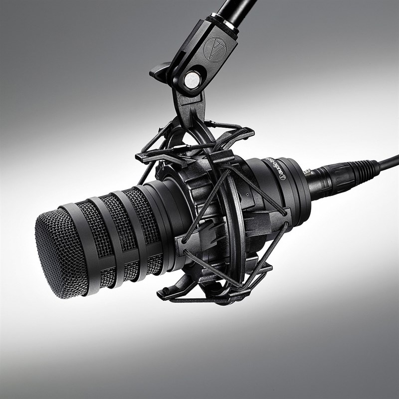 Audio Technica BP40 Large-Diaphragm Dynamic Broadcast Microphone