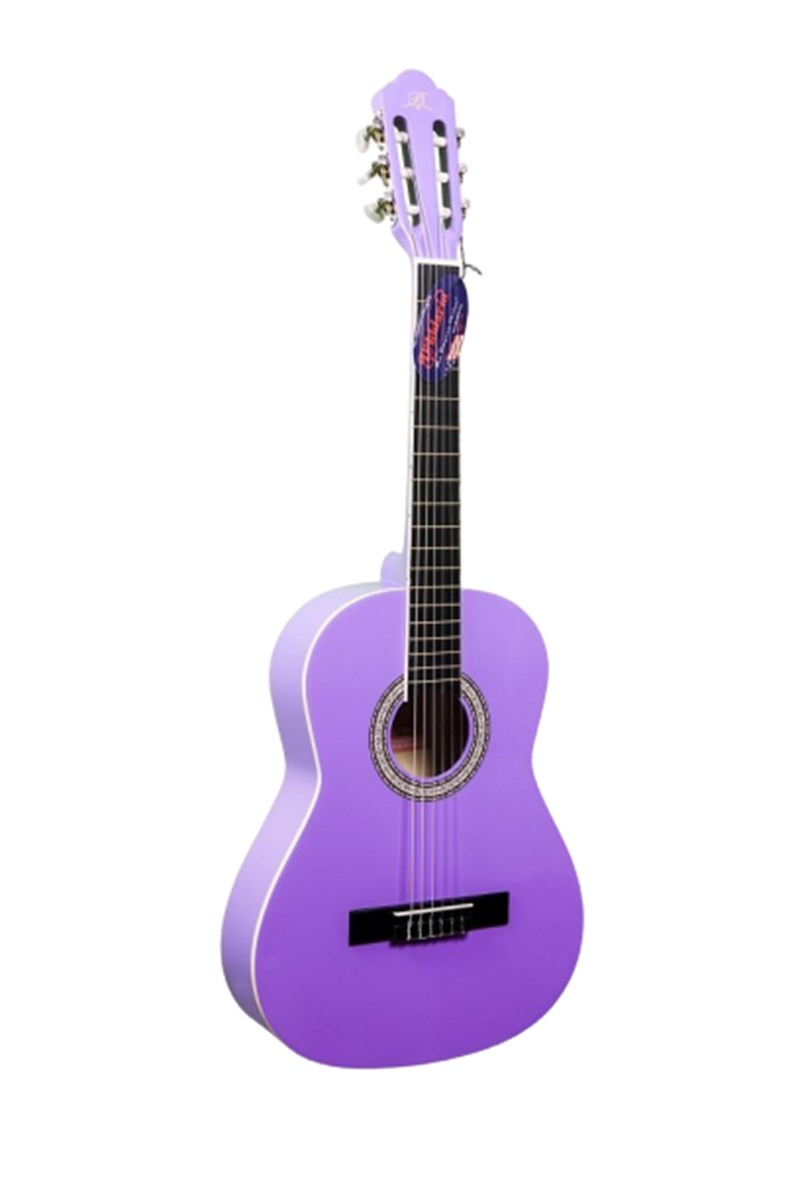Barcelona LC 3900 PP Mor Klasik Gitar