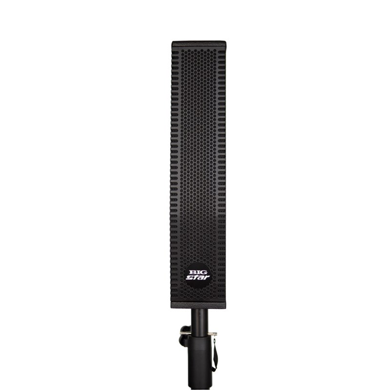 Bigstar PAD-800 600W Taşınabilir Ses Sistemi