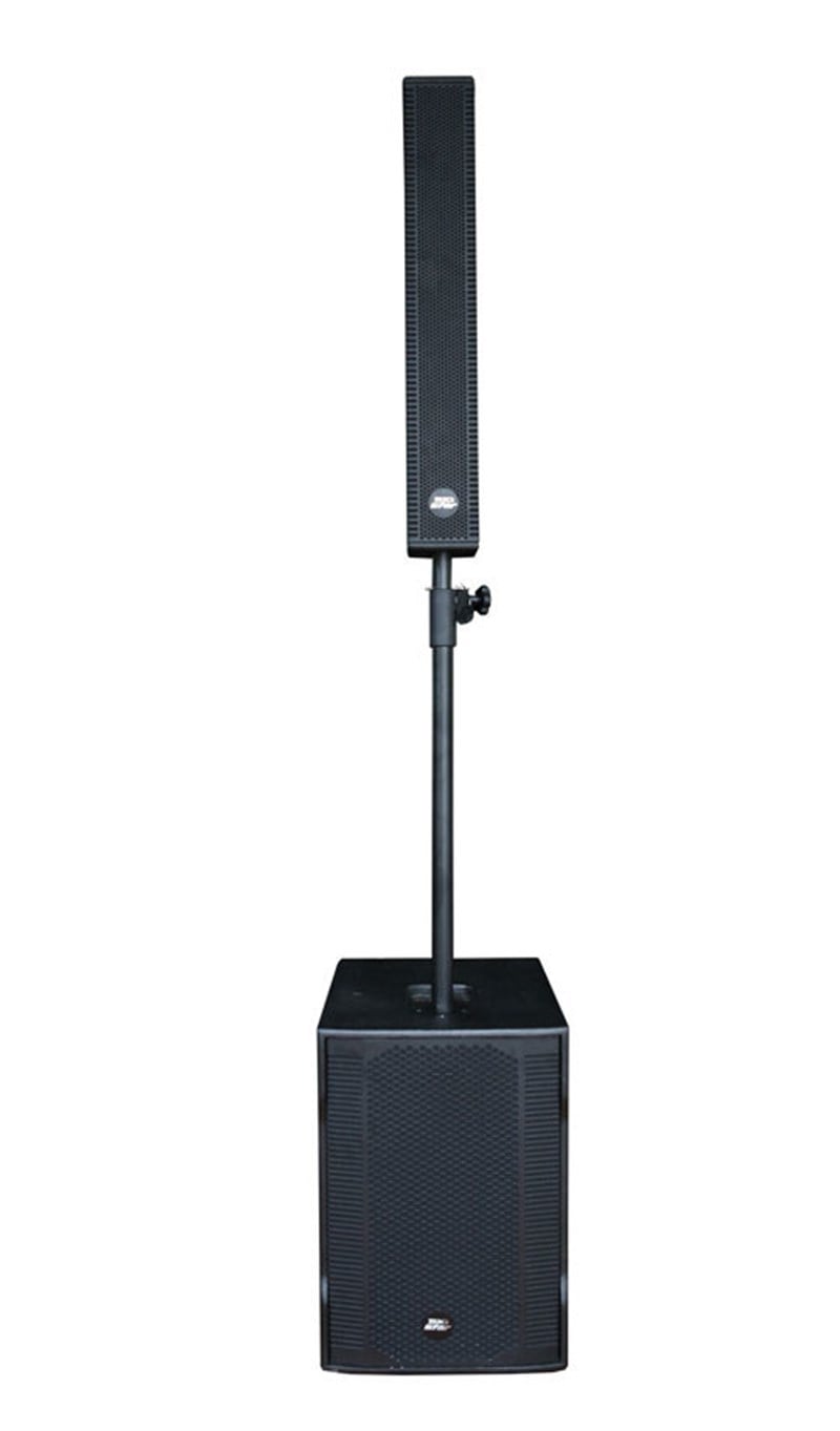 Bigstar PAD-800 600W Taşınabilir Ses Sistemi
