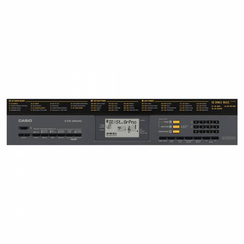 Casio CTK 2500 61 Tuşlu Org