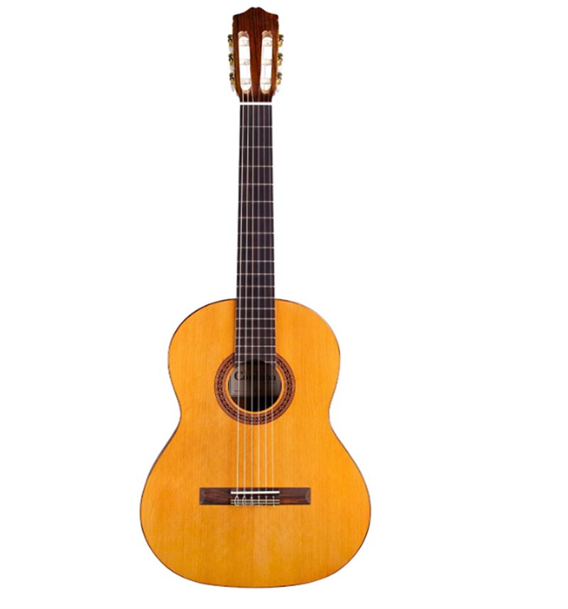 Cordoba Dolce Classical Guitar