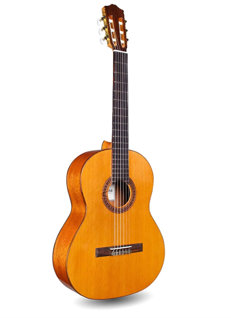 Cordoba Dolce Classical Guitar