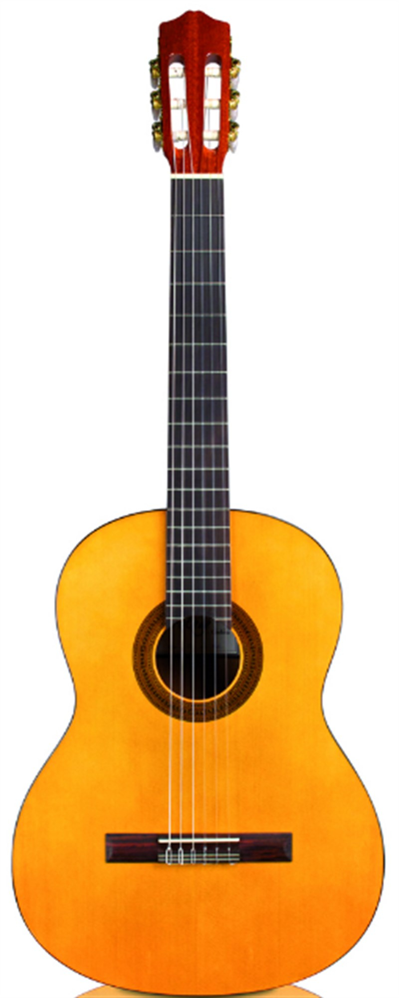Cordoba Protege C1 Klasik Gitar (Ladin)
