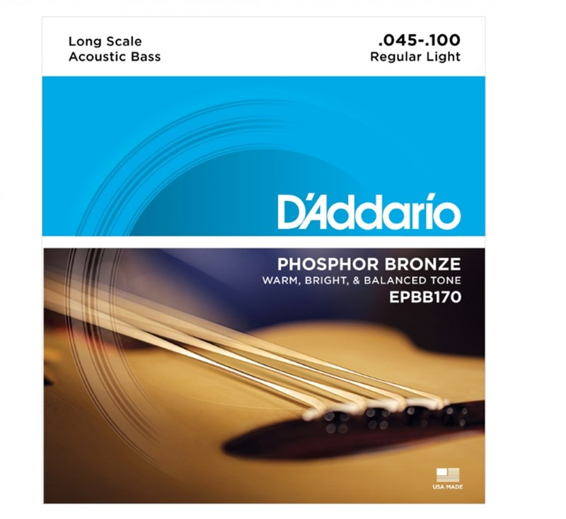 D'Addario EPBB170 Bas Gitar Teli (45-100)