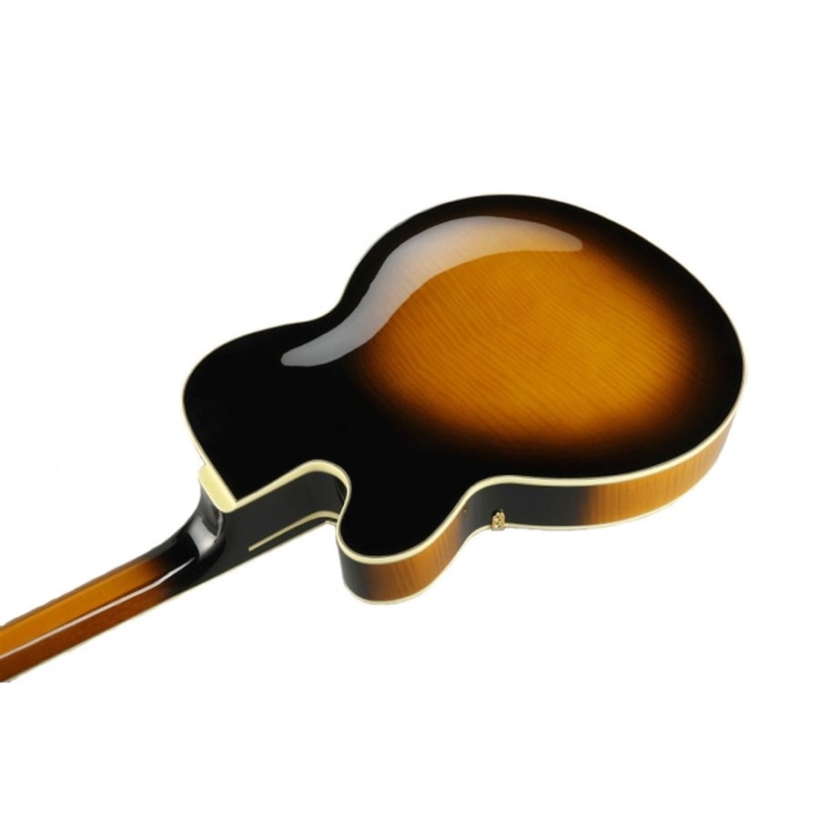 Ibanez AF200 BS Elektro Gitar (Kılıflı)