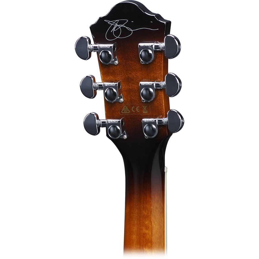 Ibanez JSA20-VB Akustik Gitar