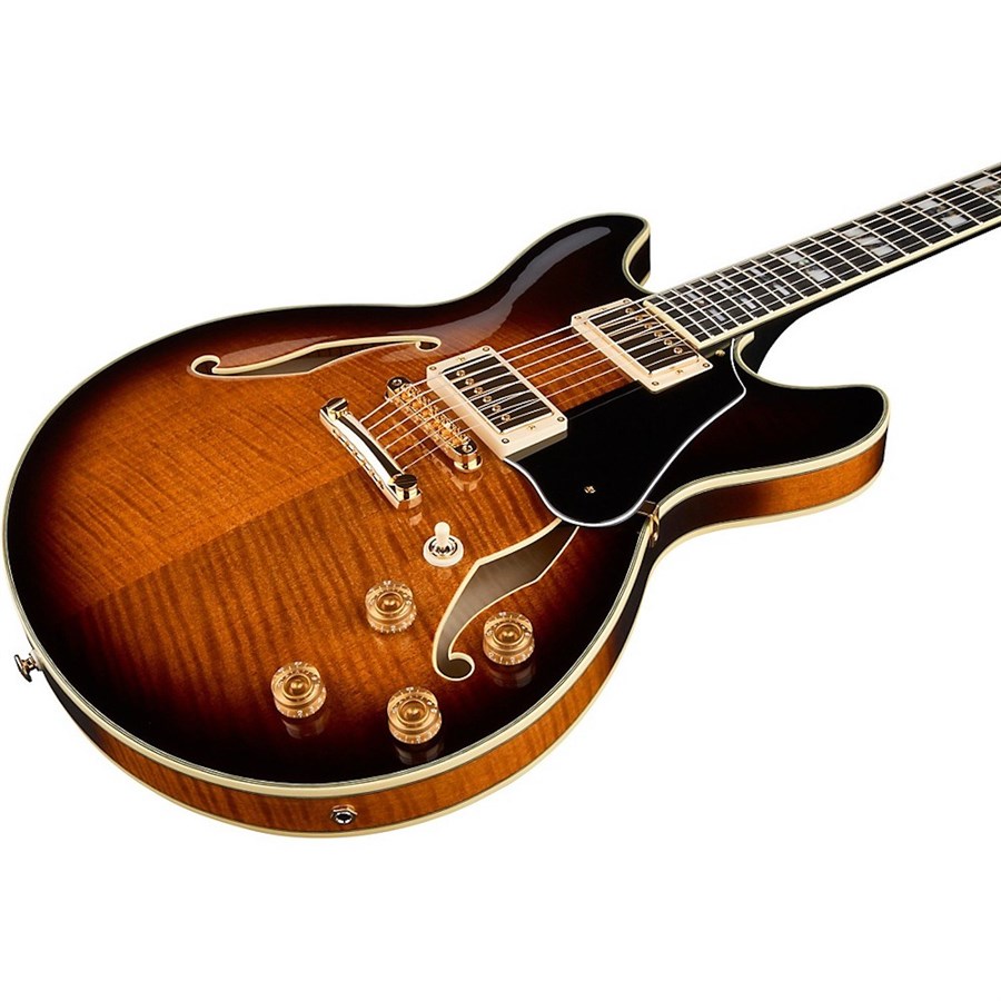 Ibanez JSM100-VT Semi-Hallow Kasalı Elektro Gitar