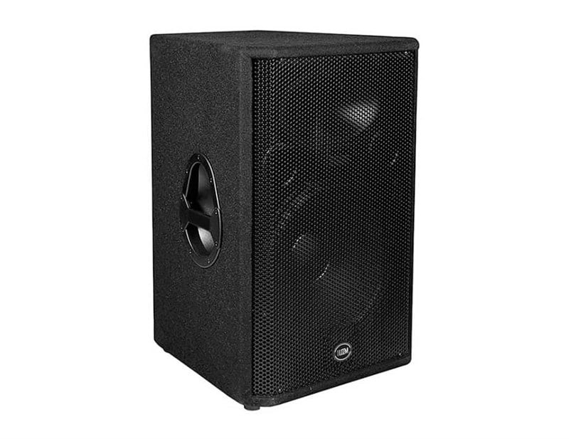 Leem WX-12 12 inç 500W 8 ohm Pasif Kabin Hoparlör