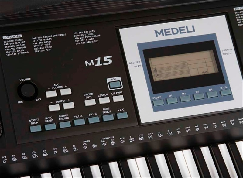 Medeli M15 61 Tuşlu Org