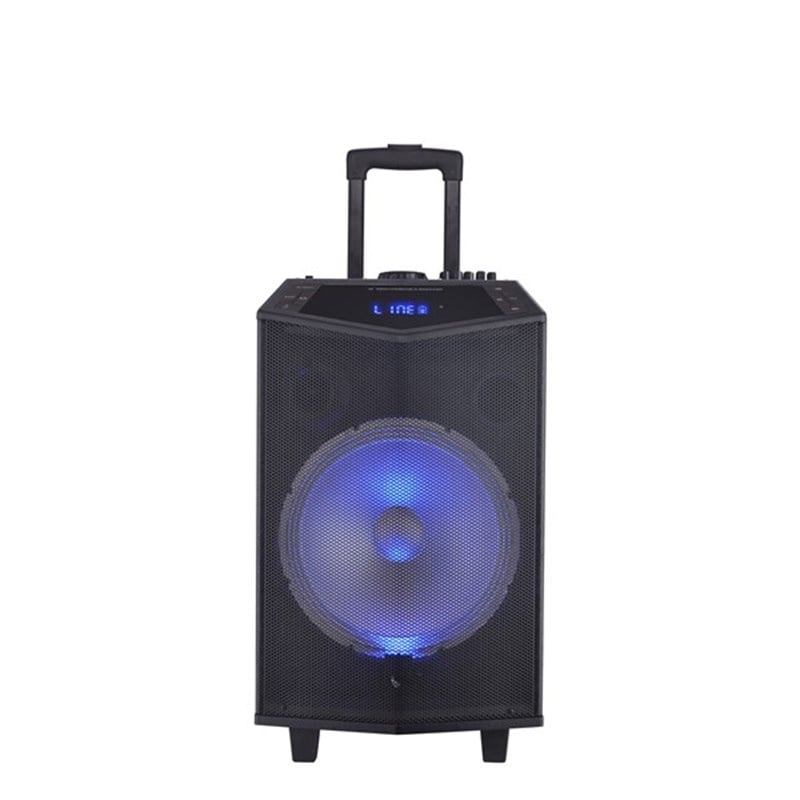 Oyılıty DK-12 - 100W/300W USB Bluetooth Şarjlı Taşınabilir Ses Sistemi