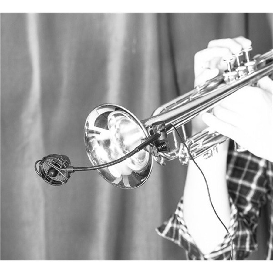 Prodipe SB21 Kondenser Entrüman Mikrofonu