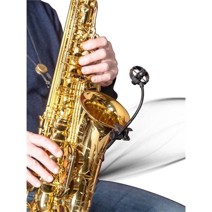 Prodipe SB21 Kondenser Entrüman Mikrofonu