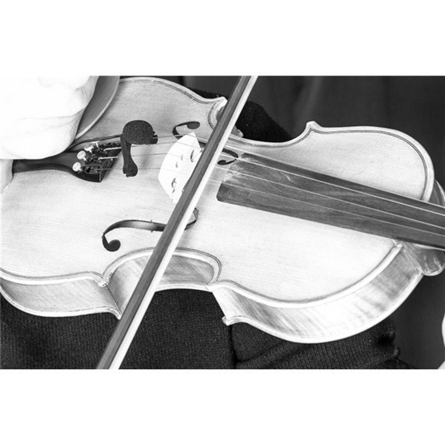 Prodipe VL21 Keman ve Viyola için Kondenser Mikrofonu