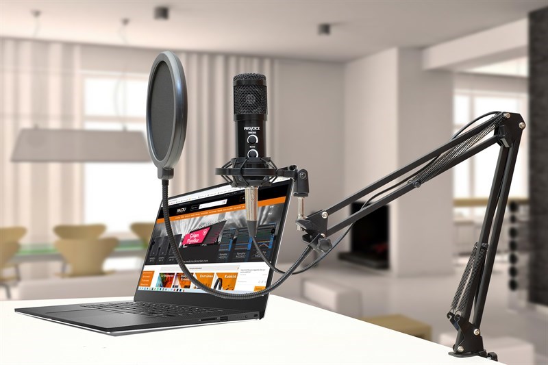 Provoice BM-300 Stüdyo Mikrofon+ AS-21 Stand+ Pop Filtre Full Set (Siyah)