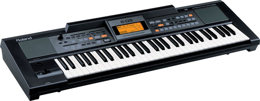 ROLAND E-09 İnteraktif Aranjör Klavye