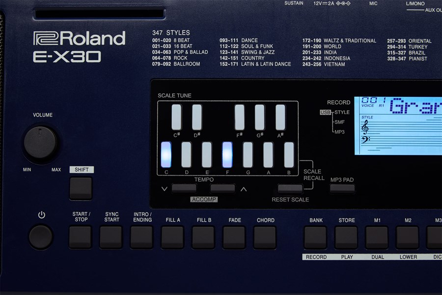 ROLAND E-X30 Ritimli Tuş Hassasiyetli Klavye