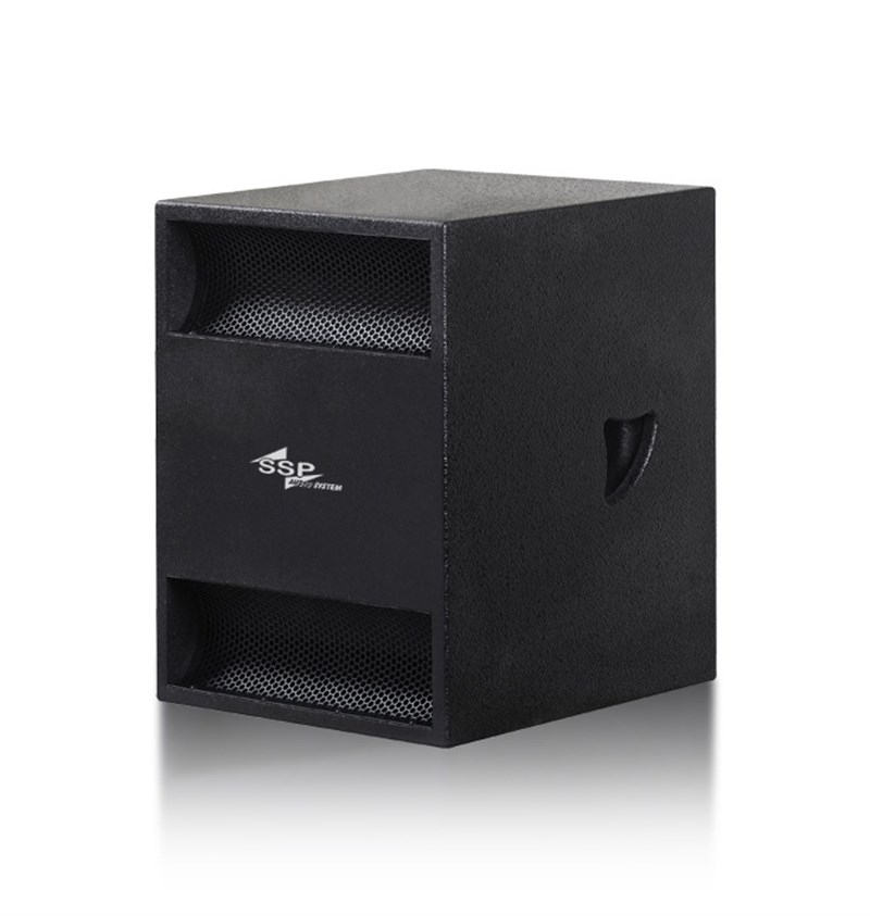 SSP Audio G12 12 inç 400W RMS Pasif Subbass