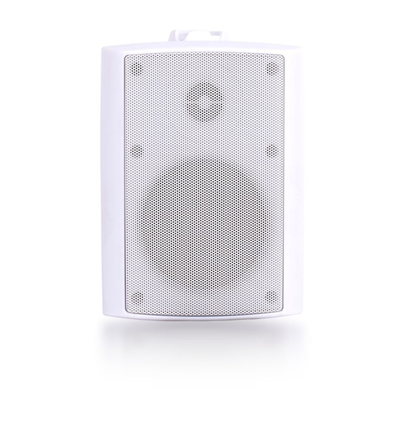 SSP Audio MONITOR5 5.25 inç 30W 2 Yollu Duvar Hoparlör