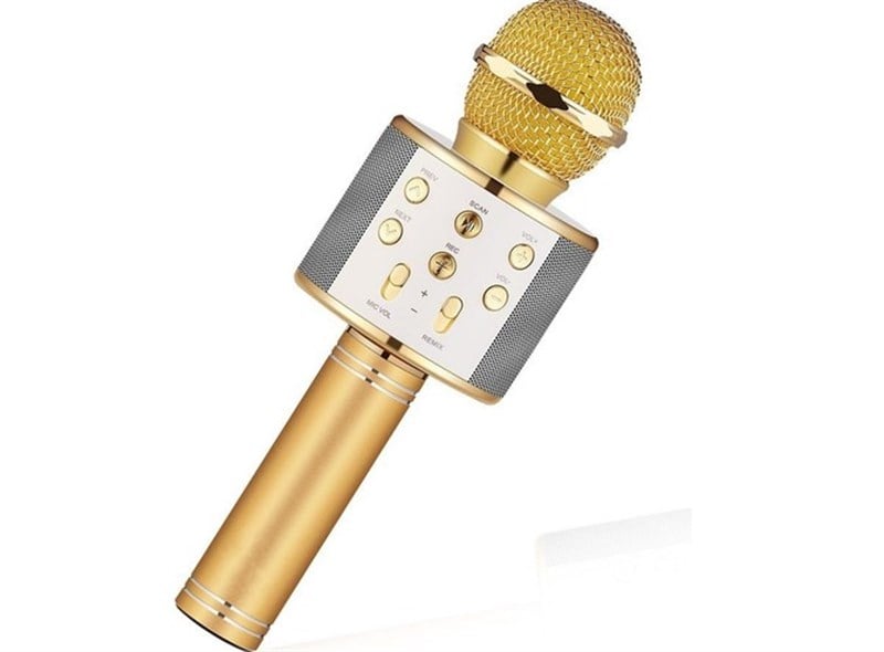 Wster Ws-858 Karaoke Mikrofon
