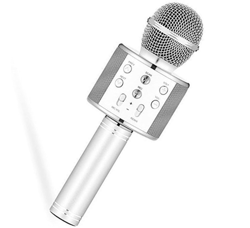 Wster Ws-858 Karaoke Mikrofon