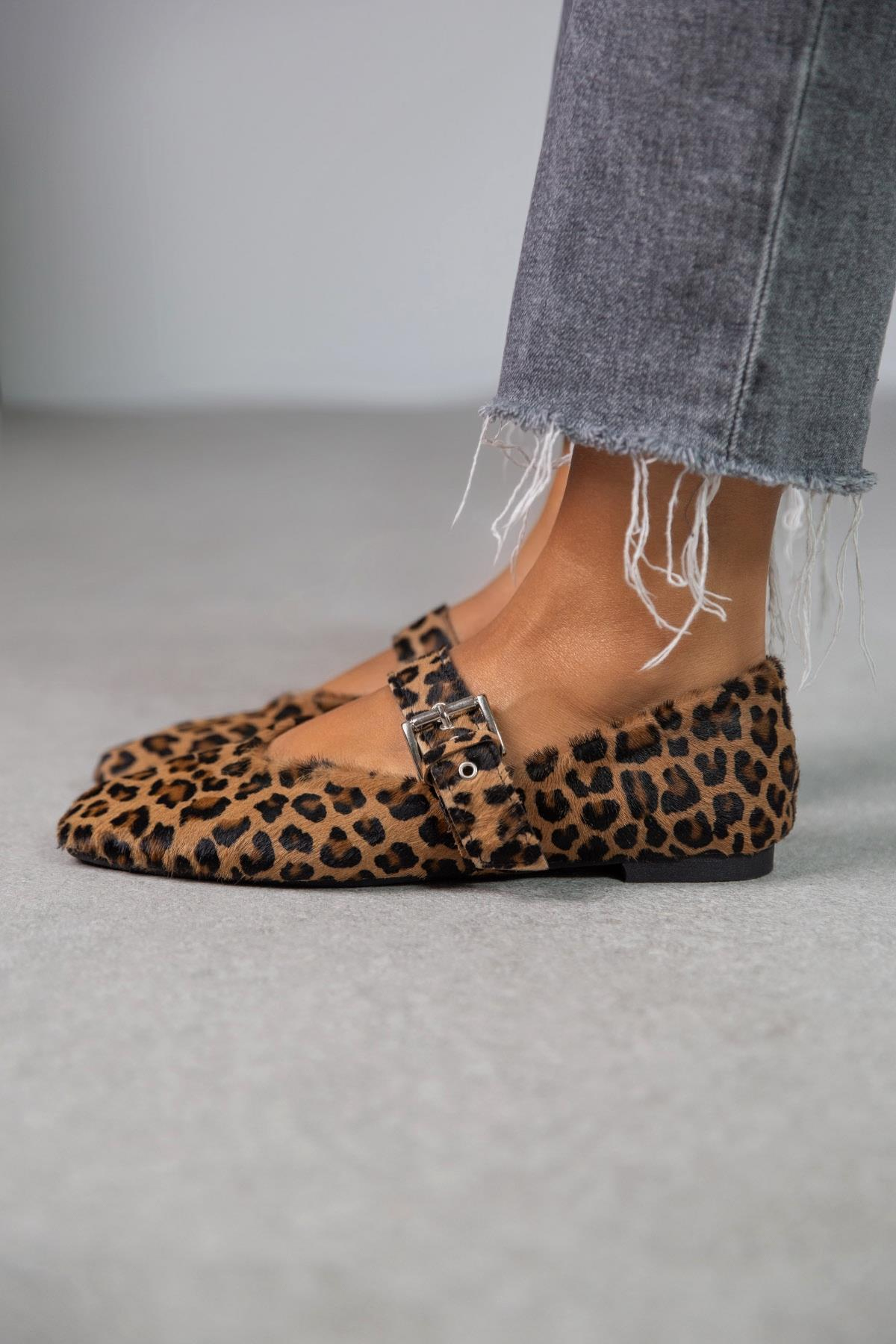 FOX LEOPAR BABET LEO