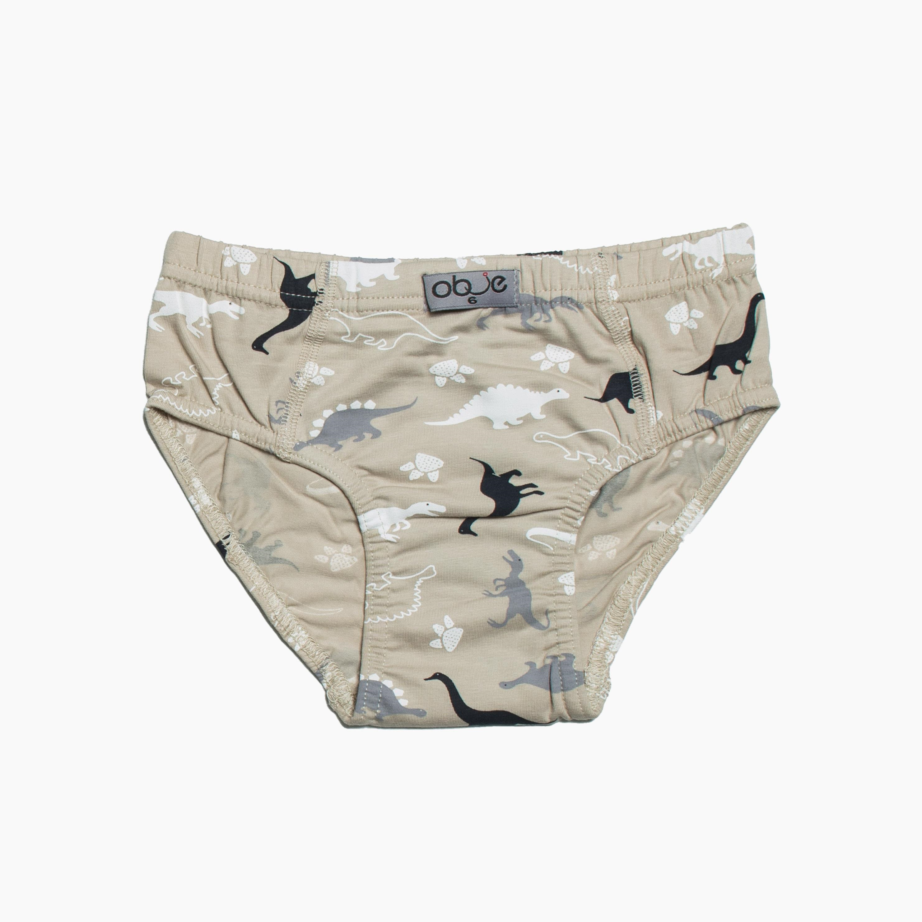 Erkek Çocuk Dinazor Desen 3'lü Slip