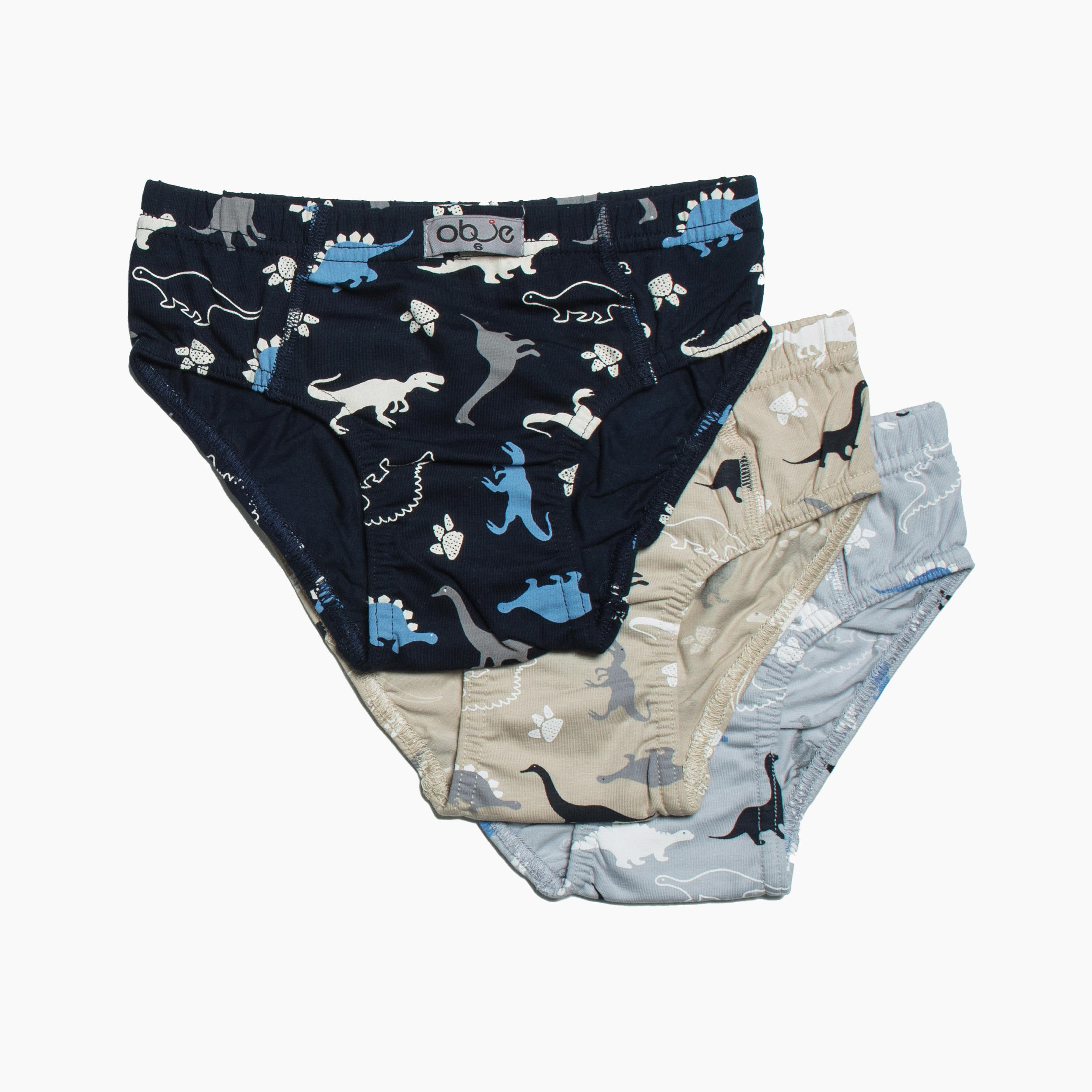 Erkek Çocuk Dinazor Desen 3'lü Slip