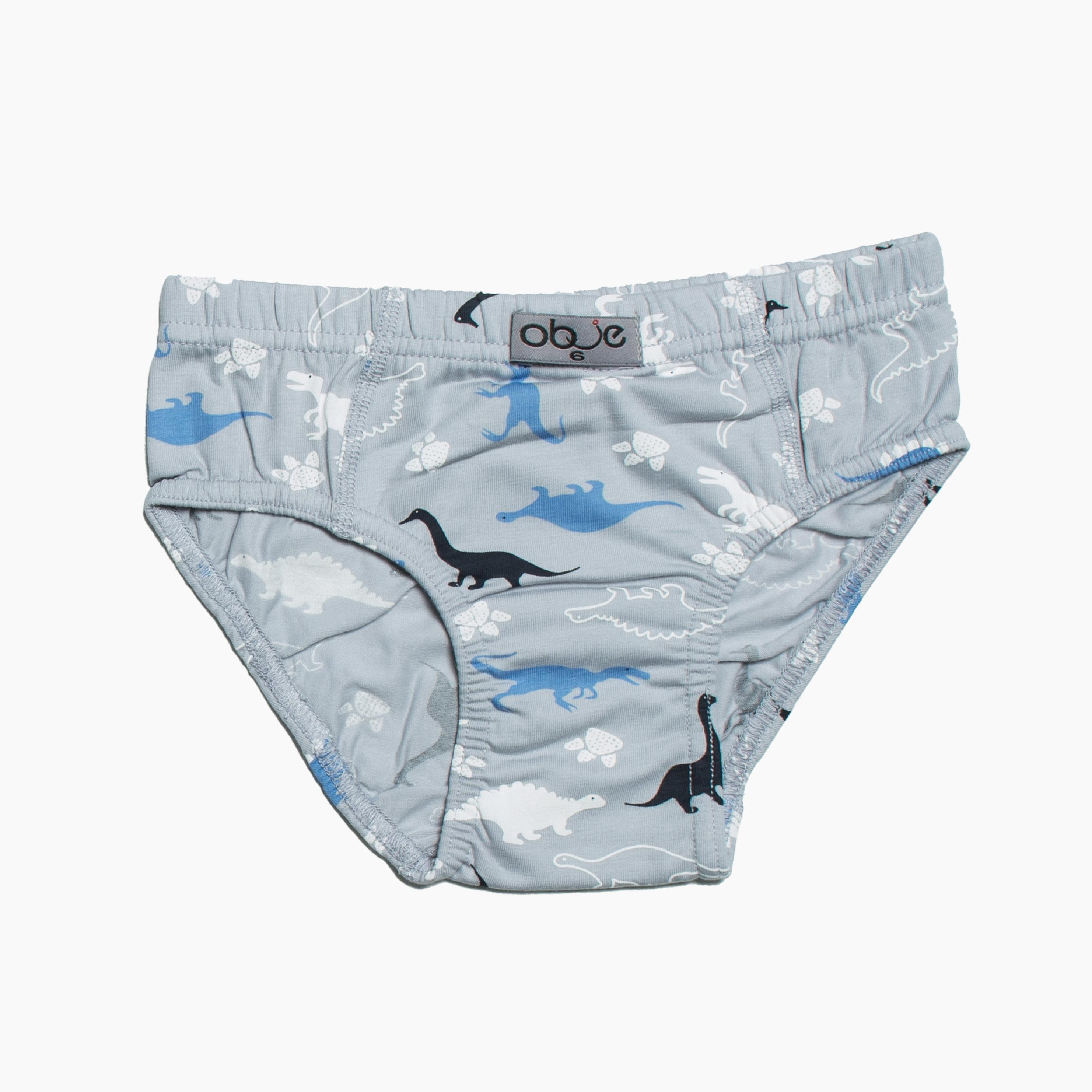 Erkek Çocuk Dinazor Desen 3'lü Slip