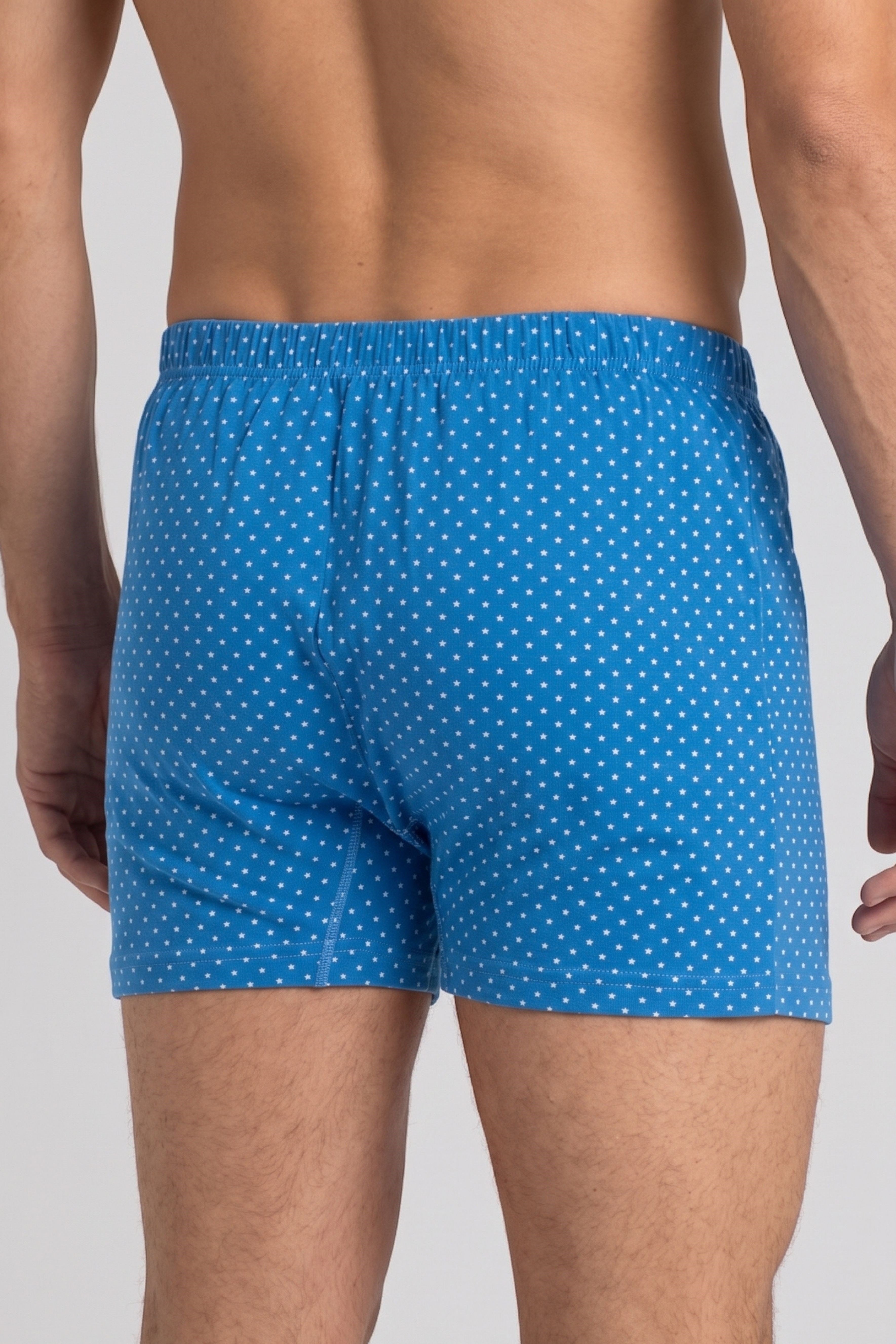 Erkek Mavi Yıldız Desen  Süprem Dar Kesim Boxer