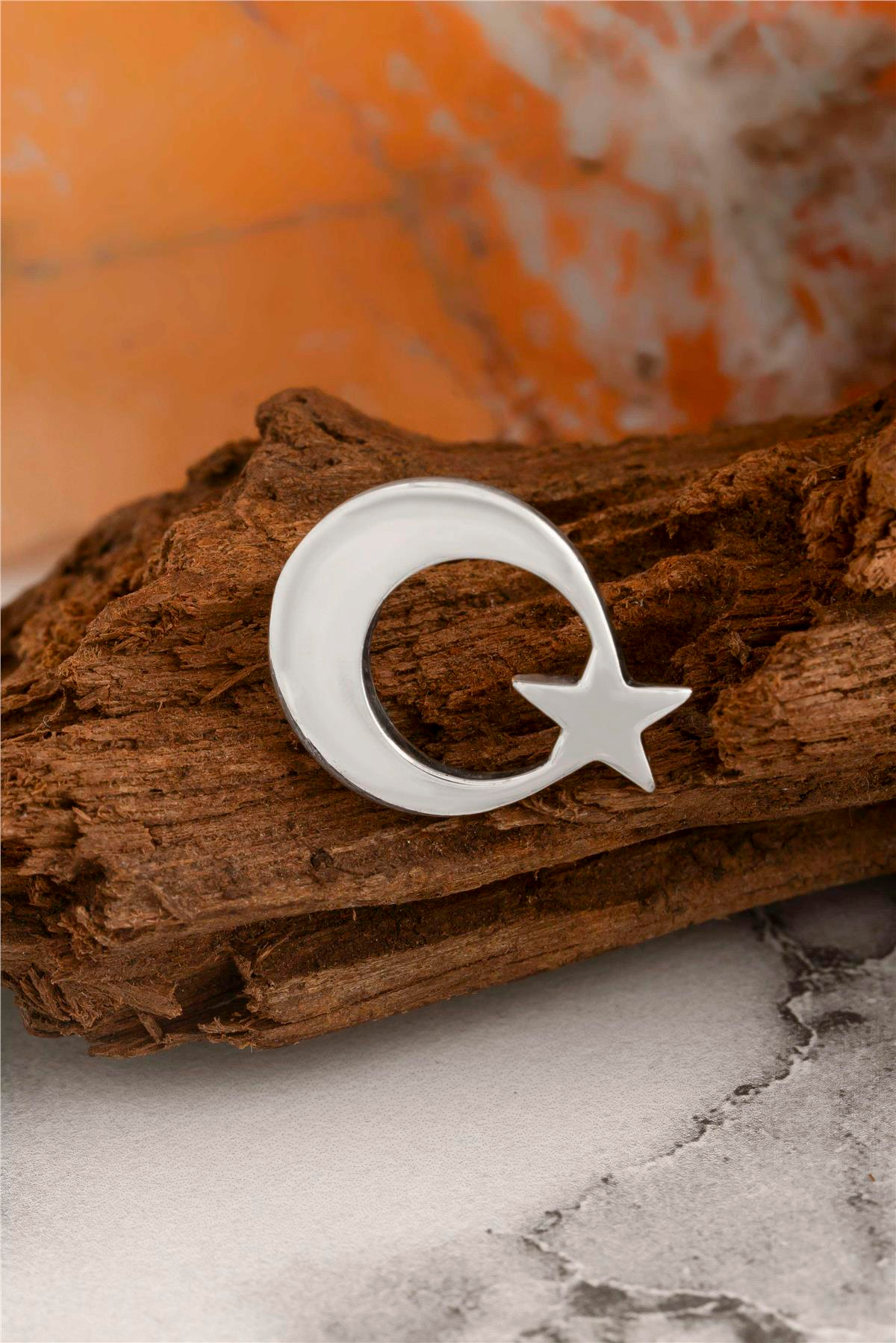 Ayyıldız Gümüş Rozet