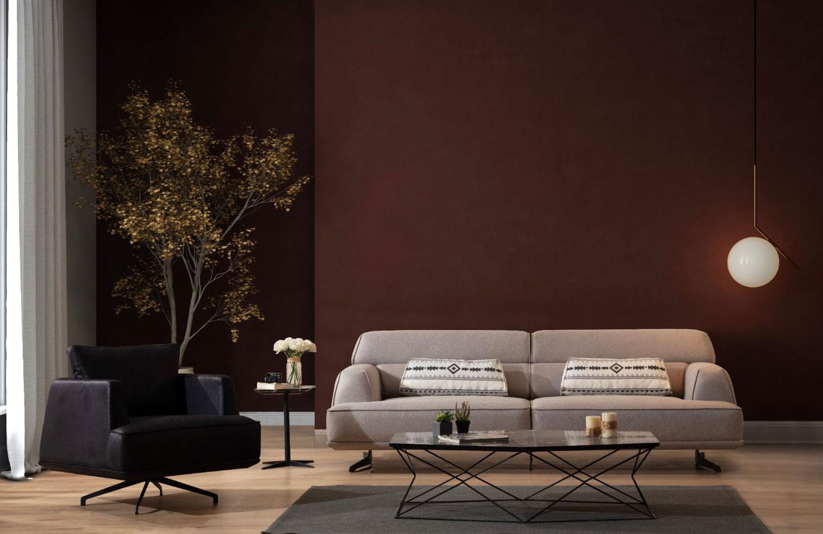 Barrie Koltuk Takımı