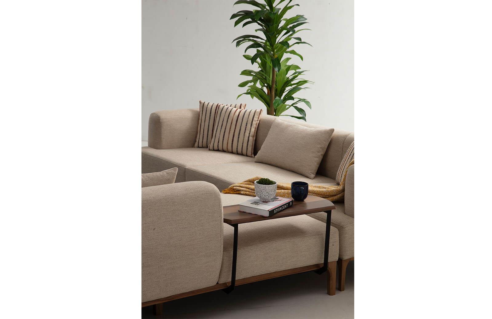 Taso Koltuk Takımı