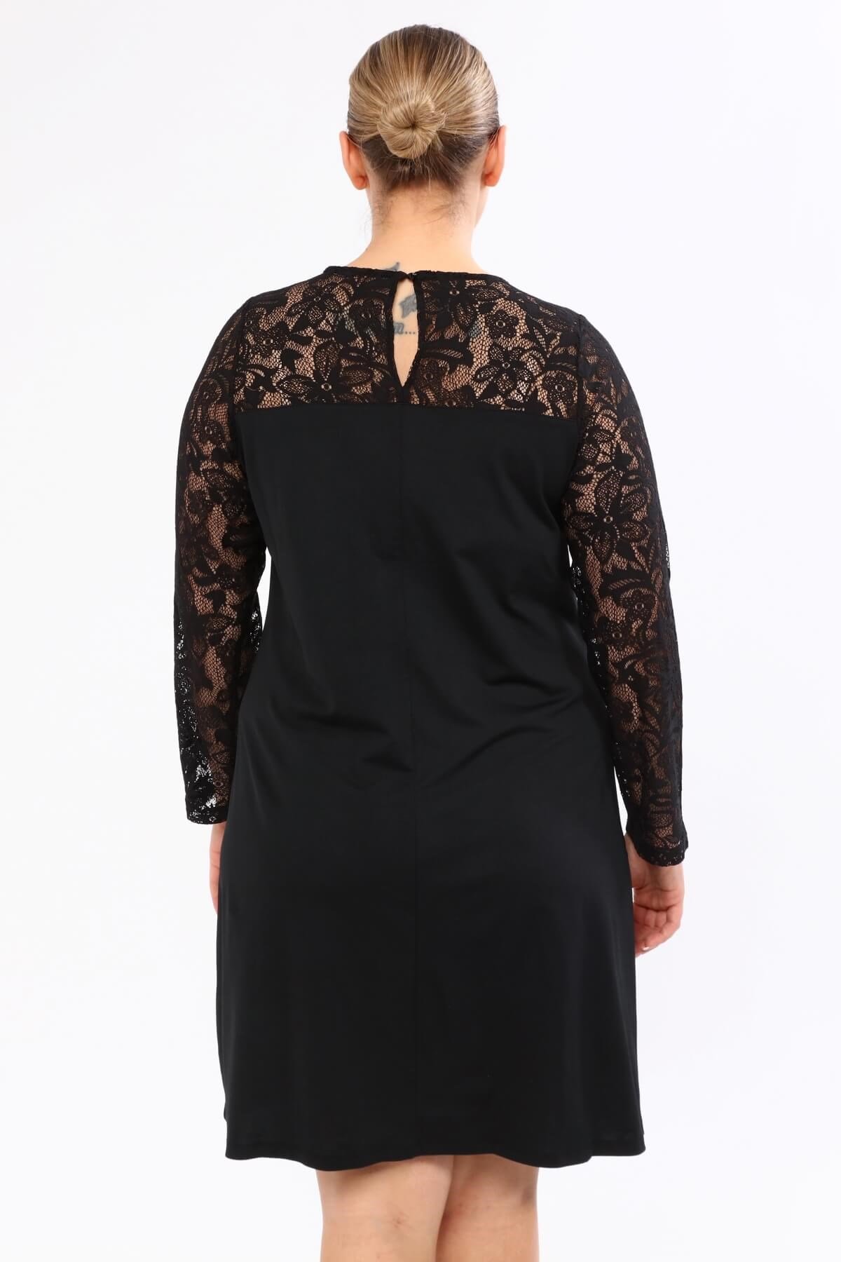 Myline-Omuzu ve Kolları Dantelli Elbise -Büyük Beden Günlük Elbiseler-23635-m