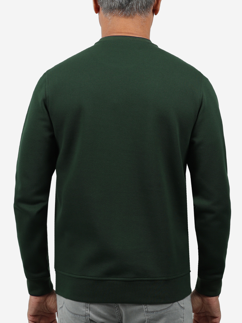 Standart Fit Yeşil Bisiklet Yaka İnterlok Sweatshirt