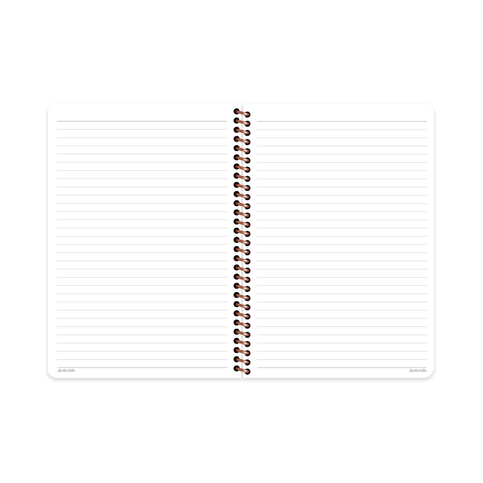 Çizgili Spiralli Sert Kapak Defter La Plume Balloon Yeşil 20x28